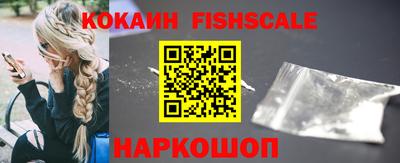 крисы Моздок