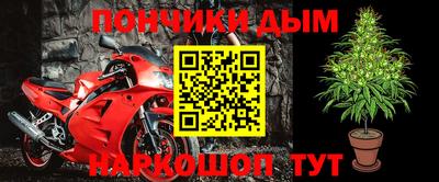 крисы Моздок