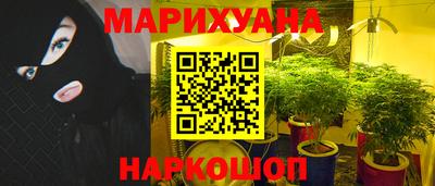 крисы Моздок