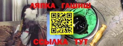 крисы Моздок